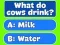 Laro Trivia Best Family Quiz online