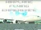 Laro Airplane Flying Expierence online
