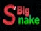Laro Big Snake.io online