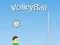 Laro VolleyBall online