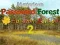 Laro Mysterious Password Forest Autumn Edition 2 online