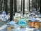 Laro Winter Wonderland Forest Adventure online