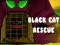 Laro Black Cat Rescue online