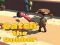 Laro Catsh the robber online