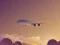 Laro Vacation Airplanes Jigsaw online