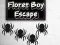 Laro Floret Boy Escape online
