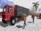 Laro Asian offroad cargo truck driver online