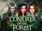 Laro Conjurer Of The Forest online
