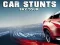 Laro Car Stunts Sky Tour online