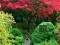 Laro Maple Leaf Garden Escape online