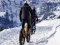 Laro Mountain Bikes Jigsaw online