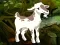 Laro Searching Goat Child online