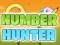 Laro Number Hunter online
