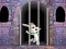 Laro Victory Rabbit Escape online