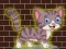 Laro Loveable Small Cat Escape online