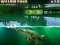 Laro Willow Pond online