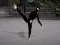 Laro Ninja Academy online