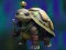 Laro Isolated Turtle Escape online