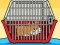 Laro Rescue The Hamster From Cage online