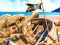 Laro Pirate Mysteries online
