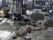 Laro Friends Rescue From Skeleton online