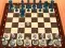 Laro Chess Master 3D online
