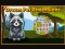 Laro Dream Pet Dimensions online