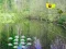 Laro Sunlight Forest Adventure online