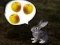 Laro The Foggy Forest online