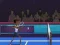 Laro Badminton Brawl online