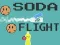 Laro Soda Flight online