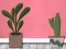 Laro Find Houseplant online
