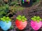 Laro Escape From Fascinated Jungle online