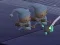 Laro Sleeping Babies online