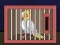 Laro Release The Cockatiel Bird online