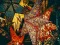 Laro Christmas Stars Jigsaw online