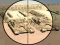 Laro Camo Sniper online