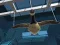 Laro Goose Museum online