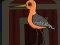 Laro Cute Godwit Escape online