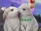 Laro Rescue The Cupid online