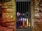 Laro Hidden Cat Escape online
