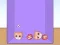 Laro Evolution of Cat Memes online