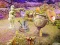 Laro Mystery House online