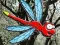 Laro Escape From Dragonfly Forest online