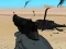 Laro Weapon online