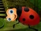Laro Rescue The Couple Bug online
