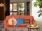 Laro Wakeup The Grandpa online