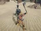 Laro The Scythian Warrior online