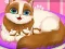 Laro Cute Kitty Pregnant online