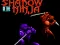 Laro Shadow of the Ninja online